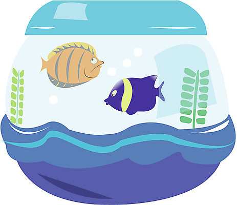 EPS 클립아트 동물 척추동물 일러스트 관상어 어류 사람없음 어항 열대어 금붕어 기르기 국내일러스트 수중동물 돌봄 파일형식 벡터
