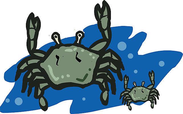 EPS 클립아트 동물 바다 절지류 일러스트 갑각류 사람없음 바다동물 꽃게 게 집게발 국내일러스트 수중동물 파일형식 벡터