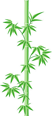 EPS 나무 식물 일러스트 사람없음 대나무 죽 상록수 사군자 절개 국내일러스트 음식 동양화 파일형식 벡터