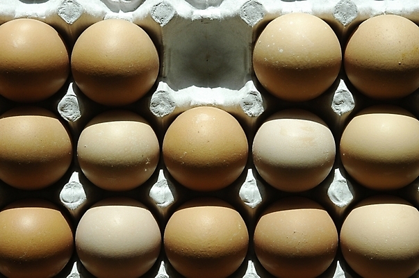 포토 JPG 스튜디오촬영 음식 식재료 재료 실내 근접촬영 사람없음 하이앵글 계란 알 계란판 날계란 한판 국내포토 1 뷰포인트 내부 파일형식