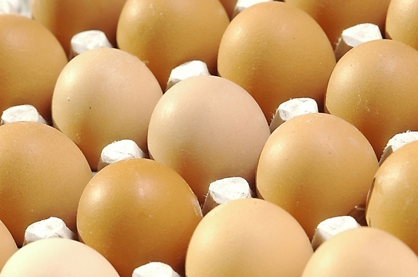 포토 JPG 스튜디오촬영 음식 식재료 재료 실내 근접촬영 사람없음 하이앵글 계란 알 계란판 날계란 한판 국내포토 1 뷰포인트 내부 파일형식