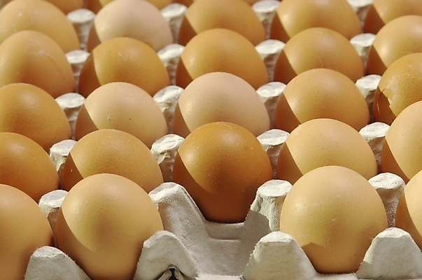 포토 JPG 스튜디오촬영 음식 식재료 재료 실내 근접촬영 사람없음 하이앵글 계란 알 계란판 날계란 한판 국내포토 1 뷰포인트 내부 파일형식