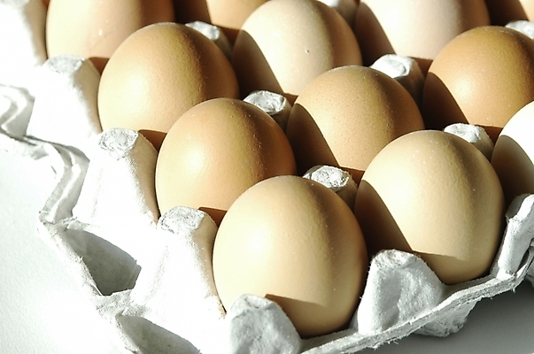 포토 JPG 스튜디오촬영 음식 식재료 재료 실내 근접촬영 사람없음 빛 하이앵글 계란 알 계란판 날계란 한판 국내포토 1 뷰포인트 내부 파일형식