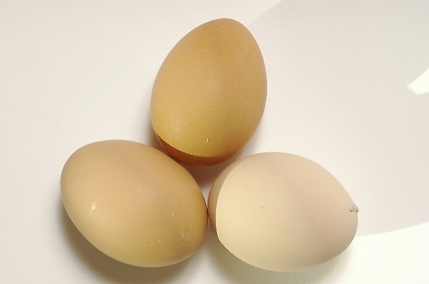 포토 JPG 스튜디오촬영 음식 식재료 재료 실내 근접촬영 사람없음 하이앵글 계란 알 세개 날계란 세알 국내포토 뷰포인트 3 내부 파일형식