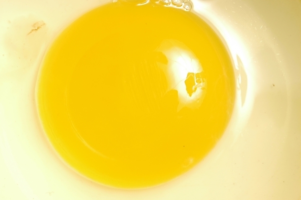 포토 JPG 스튜디오촬영 음식 식재료 재료 실내 근접촬영 사람없음 하이앵글 노란색 계란 알 노른자 날계란 흰자 국내포토 뷰포인트 컬러 내부 파일형식