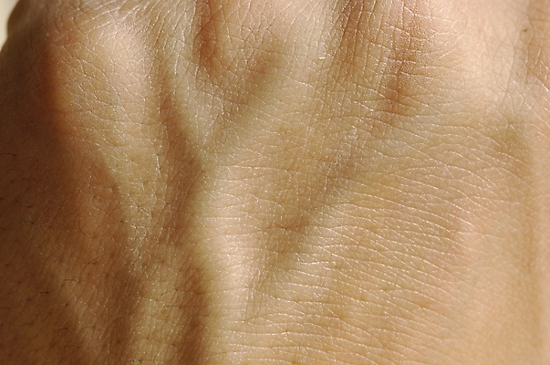 포토 JPG 스튜디오촬영 손 신체 실내 한명 사람 근접촬영 신체부위 피부 혈관 손등 국내포토 1 뷰포인트 내부 장기_의학 파일형식