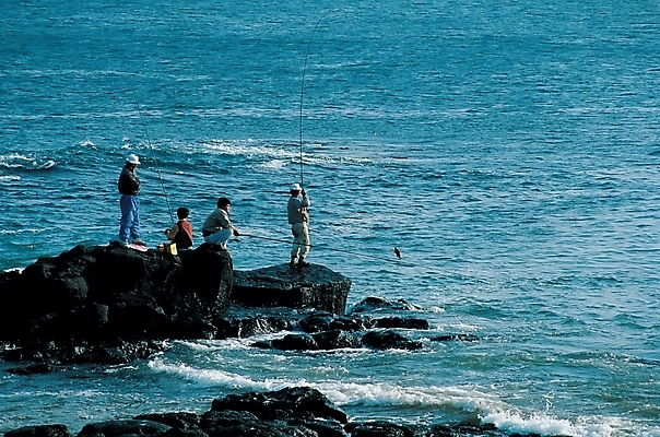 포토 주간 바다 낚시 휴가 사람 풍경 취미 해변 야외 레포츠 돌_바위 바다낚시 국내포토 자연요소 레저 파일형식