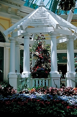 포토 주간 나무 공원 꽃 화분 화초 고건축 자연 한국 풍경 사람없음 야외 정원 정자 파고라 국내포토 자연요소 식물 건축물 공공시설 아시아 생태계 파일형식