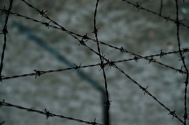 포토 주간 백그라운드 사람없음 야외 가시 철사 철조망 가시철조망 국내포토 자연요소 파일형식