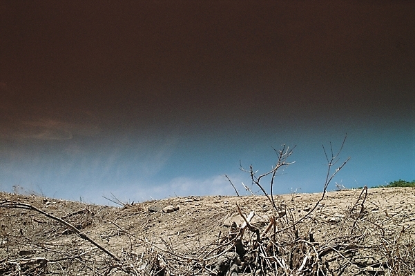 포토 JPG 주간 나무 식물 사계절 계절 겨울 자연 하늘 풍경 초원 사람없음 야외 흙 나뭇가지 땅 고목 죽은나무 국내포토 자연요소 생태계 파일형식
