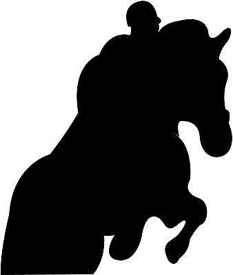 EPS 동물 척추동물 육지동물 실루엣 스포츠 일러스트 포유류 레저 그림자 사람 레포츠 운동 말_동물 승마 기수 경마 국내일러스트 촬영기법 건강 파일형식 벡터