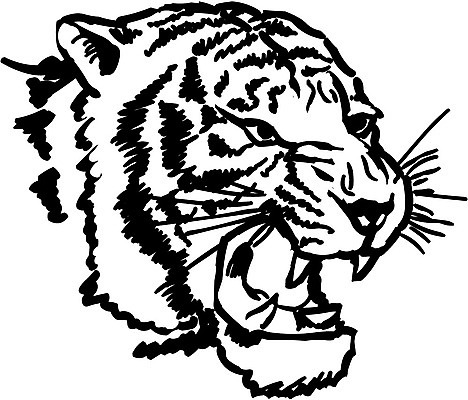 EPS 클립아트 동물 척추동물 육지동물 얼굴 야생동물 일러스트 포유류 한국 사람없음 머리 호랑이 맹수 육식동물 국내일러스트 아시아 신체부위 파일형식 벡터