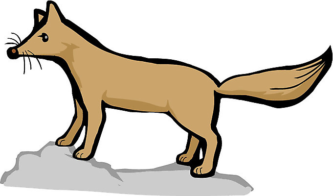 EPS 클립아트 동물 척추동물 한마리 육지동물 야생동물 일러스트 포유류 사람없음 여우 여우꼬리 여우털 국내일러스트 1 털 꼬리 파일형식 벡터