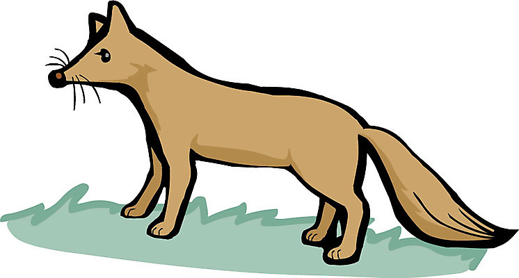 EPS 클립아트 동물 척추동물 한마리 육지동물 야생동물 일러스트 포유류 사람없음 여우 여우꼬리 여우털 국내일러스트 1 털 꼬리 파일형식 벡터
