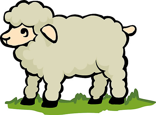 EPS 클립아트 동물 척추동물 한마리 육지동물 일러스트 포유류 사람없음 가축 양 양털 국내일러스트 1 파일형식 벡터