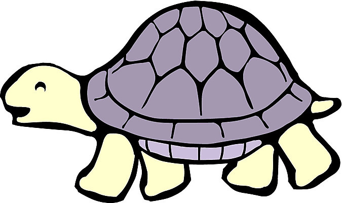 EPS 클립아트 동물 척추동물 한마리 일러스트 파충류 사람없음 거북이 등껍질 국내일러스트 1 파일형식 벡터