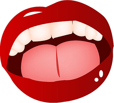 EPS 클립아트 신체 일러스트 사람 신체부위 입 치아 혀 입술 국내일러스트 소화기관 파일형식 벡터