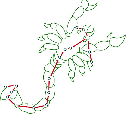 EPS 클립아트 별 절지류 일러스트 사람없음 우주 별자리 운세 전갈 점성술 전갈자리 국내일러스트 자연요소 동물 파일형식 벡터