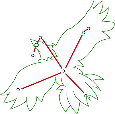 EPS 클립아트 별 일러스트 사람없음 우주 별자리 점성술 독수리자리 국내일러스트 자연요소 파일형식 벡터