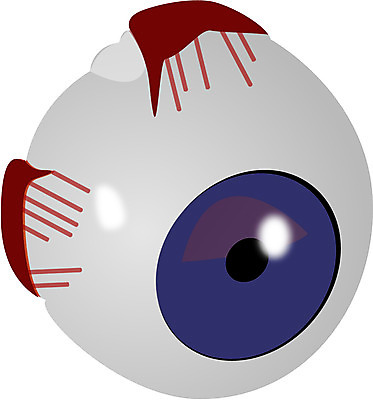 EPS 일러스트 사람없음 모형 장기 감각기관 안구모형 안구 국내일러스트 신체 신체부위 장기_의학 파일형식 벡터