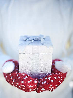 포토 JPG 스튜디오촬영 계절 장갑 백그라운드 겨울 실내 선물 한명 들기 사람 근접촬영 아웃포커스 선물상자 상자 양손 오브젝트 털장갑 손모아장갑 국내포토 1 손 잡화 뷰포인트 모션 촬영기법 내부 파일형식