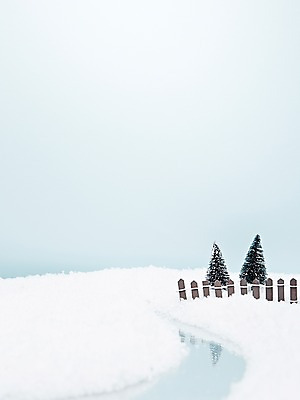 포토 JPG 스튜디오촬영 나무 식물 계절 백그라운드 겨울 실내 사람없음 울타리 담장 장난감 모형 설원 미니어처 오브젝트 국내포토 눈_날씨 내부 파일형식