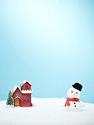 포토 JPG 스튜디오촬영 나무 식물 모자 건축물 계절 백그라운드 겨울 눈사람 주택 실내 사람없음 건물 장난감 모형 설원 목도리 미니어처 오브젝트 국내포토 잡화 건축 눈_날씨 내부 파일형식