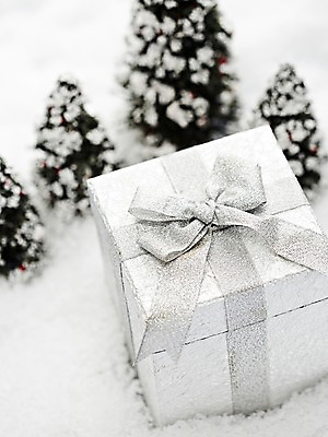 포토 JPG 스튜디오촬영 나무 식물 계절 리본 백그라운드 겨울 포장 실내 선물 근접촬영 사람없음 아웃포커스 선물상자 상자 설원 오브젝트 국내포토 뷰포인트 눈_날씨 촬영기법 내부 파일형식