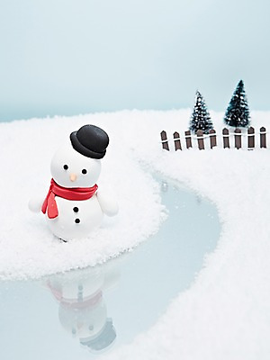 포토 JPG 스튜디오촬영 나무 모자 계절 백그라운드 겨울 눈사람 실내 사람없음 물 울타리 담장 장난감 반사 모형 설원 목도리 미니어처 눈 오브젝트 국내포토 자연요소 식물 잡화 날씨 눈_날씨 내부 파일형식