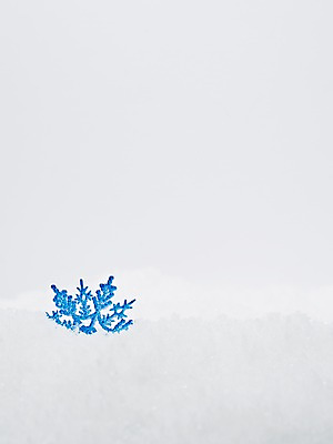 포토 JPG 스튜디오촬영 계절 백그라운드 겨울 실내 사람없음 눈 눈송이 오브젝트 결정체 국내포토 자연요소 날씨 눈_날씨 내부 파일형식