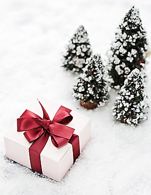 포토 JPG 스튜디오촬영 나무 계절 리본 백그라운드 겨울 포장 실내 선물 근접촬영 사람없음 아웃포커스 선물상자 상자 모형 미니어처 눈 오브젝트 국내포토 자연요소 식물 뷰포인트 날씨 촬영기법 내부 파일형식