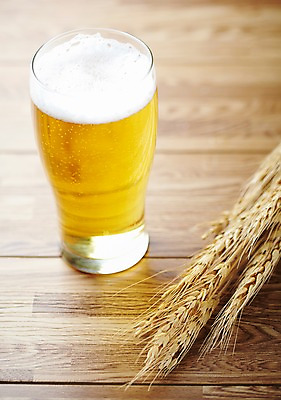 포토 JPG 스튜디오촬영 식물 음료 백그라운드 탁자 잔 곡류 맥주 주류 생맥주 실내 근접촬영 사람없음 아웃포커스 컵 농작물 거품 알코올 음주 오브젝트 보리 맥주잔 맥주거품 국내포토 식기 뷰포인트 가구 농업 술잔 촬영기법 내부 파일형식