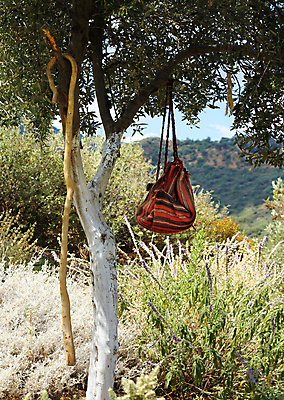 포토 JPG 해외이미지 나무 스포츠 여행 배낭 자연 휴식 풍경 사람없음 여름 걷기 트래킹 하이킹 막대기 그늘 지중해 올리브 일시정지 해외202004 해외포토 식물 계절 열매 바다 컨셉 가방 모션 레저 생태계 파일형식 이미지허브