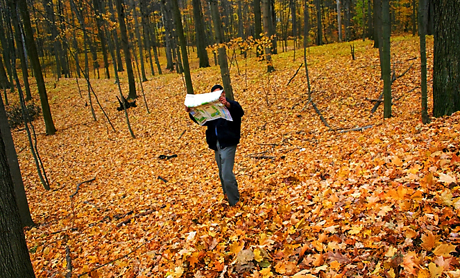 포토 JPG 해외이미지 나무 계절 공원 길 잎 지도 오렌지 풍경 사람없음 독서 갈색 노란색 안개 가을 숲 큼 11월 10월 해외202004 해외포토 식물 공공시설 컬러 과일 날씨 날짜 크기 파일형식 이미지허브