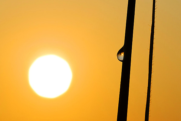 포토 JPG 해외이미지 실루엣 자연 하늘 아침 풍경 사람없음 물 세계 태양 반사 일출 미니어처 뜨거움 원형 칼날 떨어짐 이슬 구성 해외202004 해외포토 주간 자연요소 도형 컨셉 촬영기법 모형 노을 생태계 파일형식 이미지허브