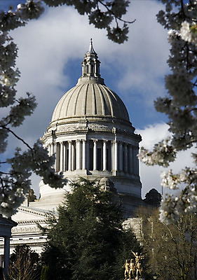 포토 JPG 해외이미지 나무 구름 건축양식 하늘 사람없음 건물 미국 봄 벚꽃 바위 기둥 체리 사암 국회 정부 화강암 해외202004 해외포토 자연요소 식물 건축물 계절 건축 꽃 북아메리카 과일 암석 돌_바위 파일형식 이미지허브