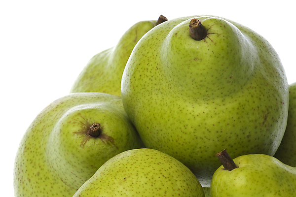 포토 JPG 해외이미지 계절 음식 농업 다이어트 과일 자연 디저트 건강 사람없음 초록색 신선 닫기 달콤 맛 유기농 내추럴 고립 숙성 해외202004 해외포토 웰빙 산업 컬러 컨셉 모션 생태계 파일형식 이미지허브