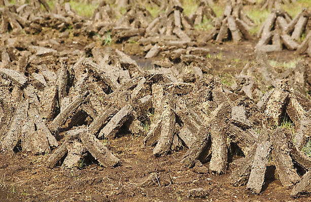 포토 JPG 해외이미지 문화 밭 농업 풍경 잔디 사람없음 초록색 갈색 쌓기 시골 원주민 습지 자르기 연료 아일랜드 흙더미 내추럴 변소 해외202004 해외포토 식물 유럽 산업 컬러 모션 흙 아프리카인 파일형식 더미 이미지허브