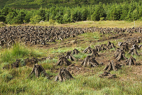 포토 JPG 해외이미지 문화 밭 농업 풍경 잔디 사람없음 초록색 갈색 쌓기 시골 원주민 습지 자르기 연료 아일랜드 흙더미 내추럴 변소 해외202004 해외포토 식물 유럽 산업 컬러 모션 흙 아프리카인 파일형식 더미 이미지허브