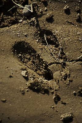 포토 JPG 해외이미지 모래 사람없음 달리기 젖음 남아프리카 선로 해외202004 해외포토 모션 아프리카 파일형식 이미지허브