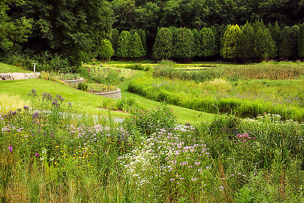 포토 JPG 해외이미지 나무 꽃 잎 사람없음 물 정원 습지 숲 상록수 계단식 해외202004 해외포토 자연요소 식물 파일형식 이미지허브