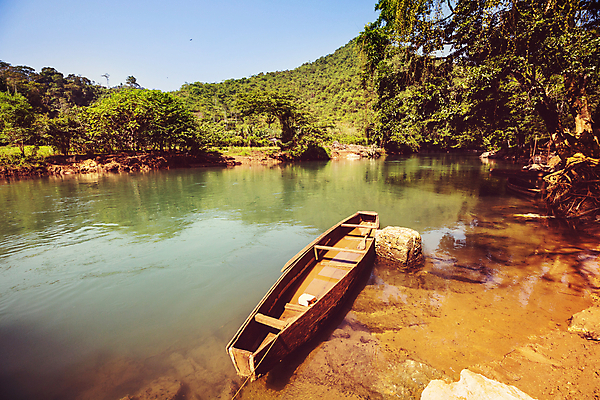 포토 JPG 해외이미지 나무 공원 실루엣 여행 백그라운드 잎 밭 자연 아침 휴가 산 파노라마 풍경 사람없음 야외 초록색 여름 햇빛 농장 평화 환경 안개 시골 신선 남아메리카 중앙아메리카 숲 라틴아메리카 언덕 내추럴 파라다이스 해외202004 해외포토 주간 식물 계절 공공시설 컬러 컨셉 농업 날씨 촬영기법 아메리카 태양 생태계 파일형식 이미지허브