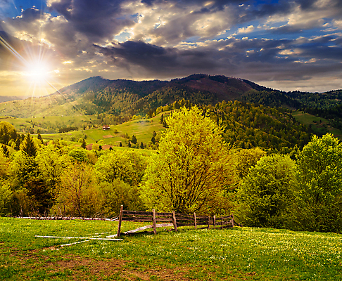 포토 JPG 해외이미지 나무 구름 계절 여행 백그라운드 밭 농업 자연 하늘 불꽃 산 풍경 경사 사람없음 야외 초록색 여름 빛 울타리 햇빛 태양 농장 마을 계곡 일몰 봄 새벽 광선 가을 시골 저녁 숲 언덕 공터 해외202004 해외포토 자연요소 식물 산업 컬러 불 담장 노을 야간 생태계 파일형식 이미지허브