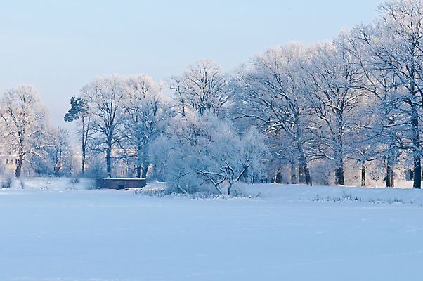 포토 JPG 해외이미지 주간 겨울 자연 하늘 사람없음 야외 눈 시베리아 쌓인눈 겨울풍경 해외202004 눈덮임 해외포토 자연요소 계절 컨셉 날씨 풍경 생태계 파일형식 이미지허브