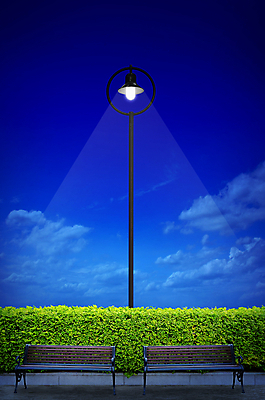 포토 JPG 해외이미지 나무 백그라운드 잎 벤치 하늘 조명 사람없음 빛 램프 도시 야간 관목 봉 철강 해외202004 해외포토 자연요소 식물 의자 파일형식 이미지허브