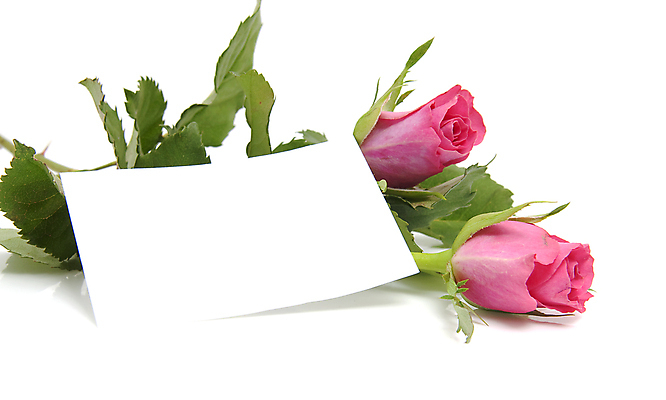 포토 JPG 해외이미지 식물 꽃 분홍색 꽃다발 백그라운드 잎 꽃무늬 텍스트 자연 유리 발렌타인데이 사람없음 장미 꽃병 봄 흰색 신용카드 생일 가시 고립 해외202004 해외포토 계절 기념일 컬러 무늬 데이이벤트 재질 금융 생태계 파일형식 이미지허브