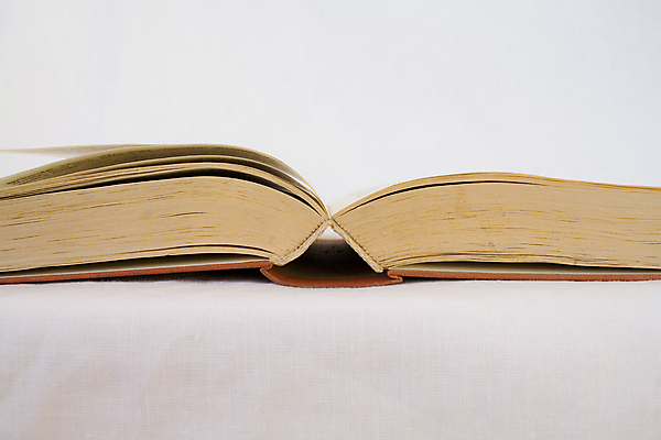 포토 JPG 해외이미지 모양 감정 종이 백그라운드 컨셉 곡선 데이트 텍스트 학교 관계 휴가 발렌타인데이 사랑 미술 사람 사람없음 책 스터디 하트 오픈 심볼 읽기 오브젝트 열정 비전 페이지 구성 돌봄 블러 스타일 해외202004 해외포토 교육 선 모션 데이이벤트 문화예술 학습 파일형식 이미지허브