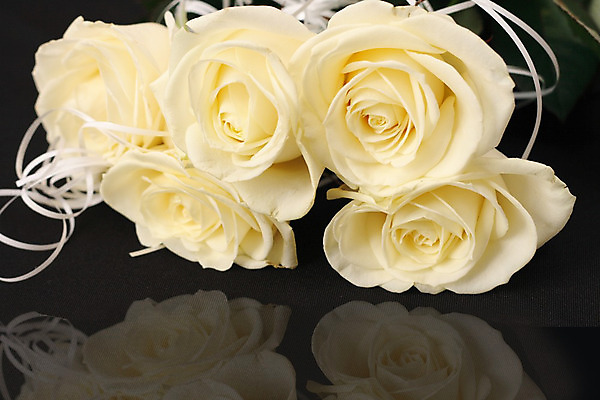 포토 JPG 해외이미지 식물 꽃잎 꽃 줄기 꽃다발 백그라운드 잎 꽃무늬 패턴 자연 발렌타인데이 선물 사랑 사람없음 초록색 장미 검은색 벚꽃 흰색 가득함 고립 완전 해외202004 해외포토 감정 컬러 컨셉 무늬 데이이벤트 생태계 파일형식 이미지허브