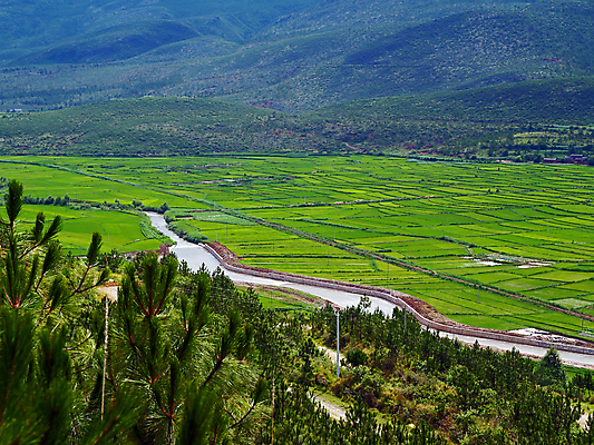 포토 JPG 해외이미지 나무 공원 호수 벽 여행 밭 거리 주택 풍경 사람없음 야외 빨간색 물 강 농장 반사 여행객 마을 식당 중국 시골 등불 사찰 개울 땅 방앗간 해외202004 해외포토 자연요소 식물 공공시설 아시아 컬러 농업 종교건축 조명 사람 건물 상점 파일형식 이미지허브