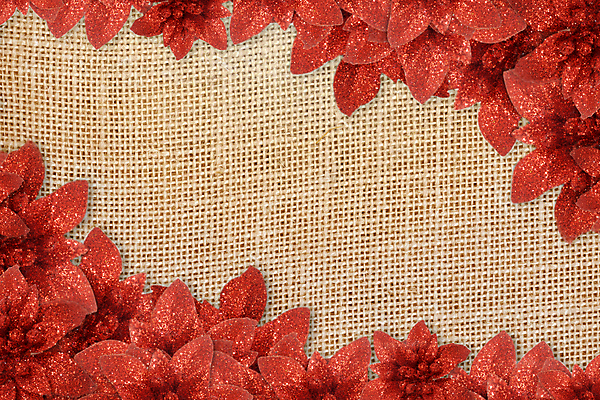 포토 JPG 해외이미지 모양 나무 식물 전통 디자인 계절 꽃 백그라운드 잎 크리스마스 겨울 패턴 휴가 기념 프레임 발렌타인데이 선물 사랑 사람없음 장식 빨간색 우주 화환 시골 축하 신용카드 12월 삼베 심볼 활 싱글 엽서 포인세티아 해외202004 해외포토 기념일 감정 컬러 컨셉 무늬 데이이벤트 금융 날짜 편지 파일형식 천_직물 이미지허브